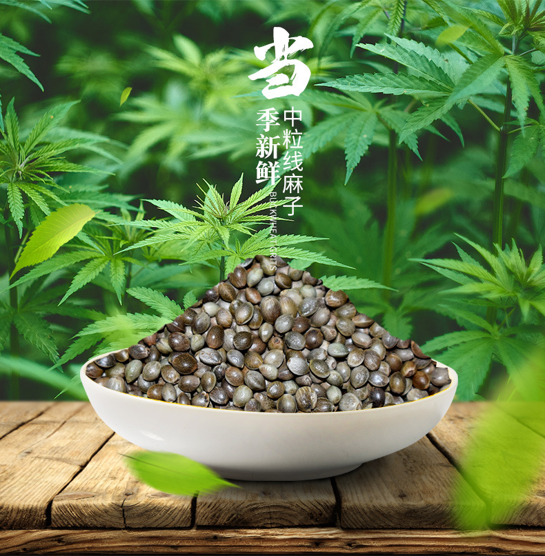 2019年产 中粒小粒线麻子火麻 厂家直销批发