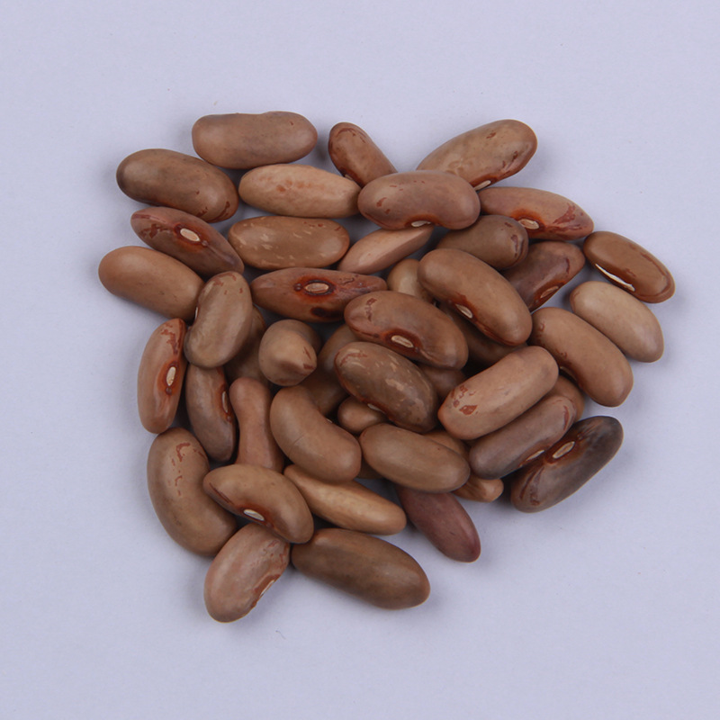 九粒白四季豆种籽农田菜园高产早熟肉厚老来少芸豆白豆角蔬菜种子