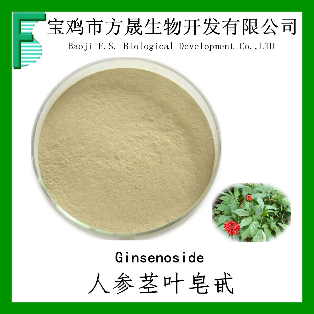 人参茎叶皂甙人参茎叶提取物7080人参皂苷ginsenoside