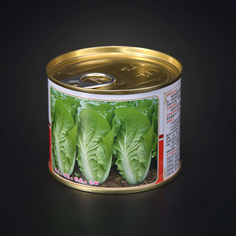 新鲜番茄酱罐头圆形包装辣椒酱马口铁密封易拉罐206g 800g