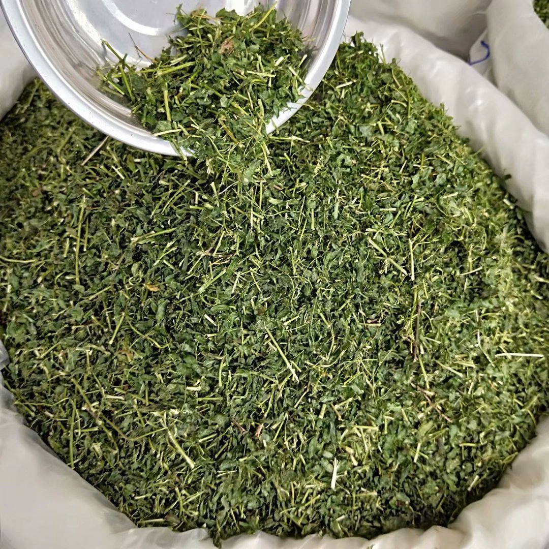 相思茶相思藤茶每件500克