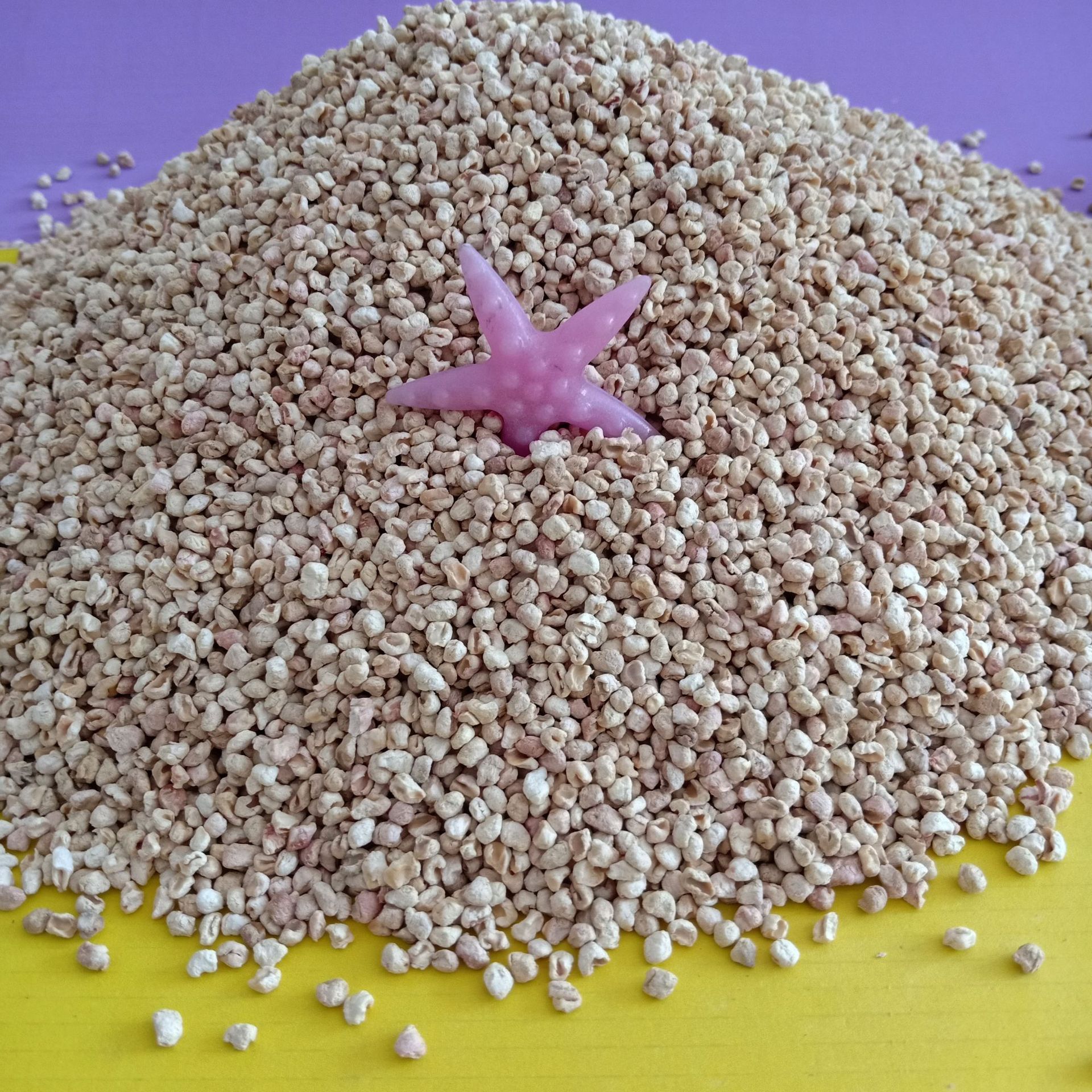 厂家批发玉米芯 玉米芯抛光颗粒 粉 食用菌用 饲料用 免费试样