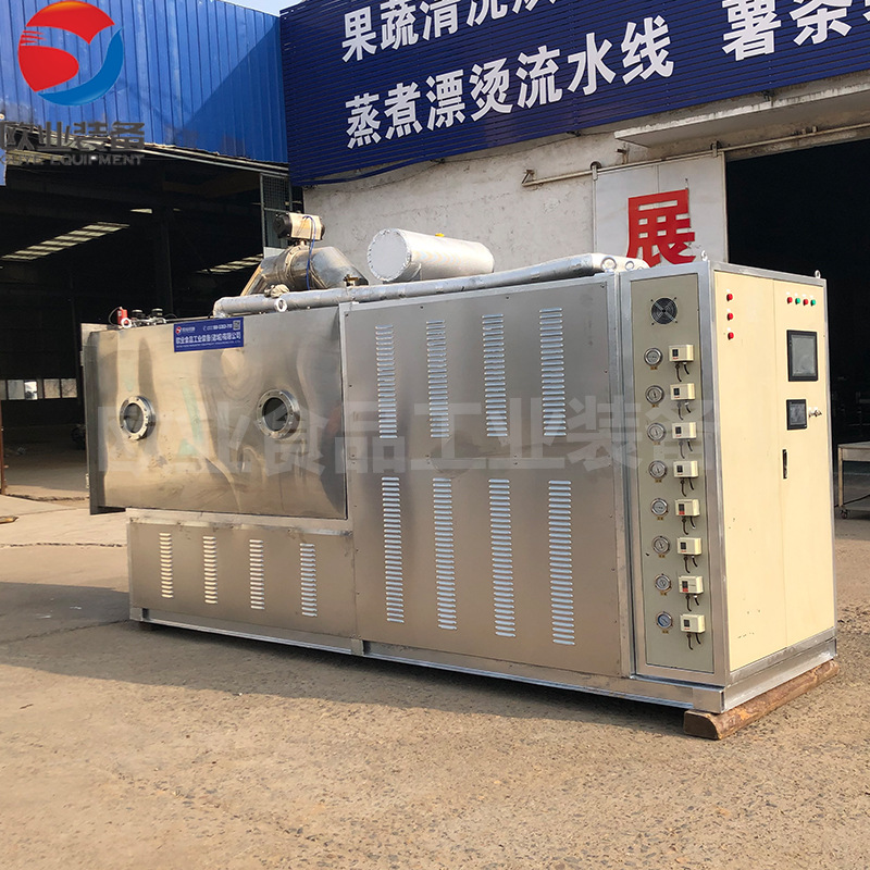 可定制芒果真空非油炸加工设备 果蔬脆真空冻干机 免费安装调试