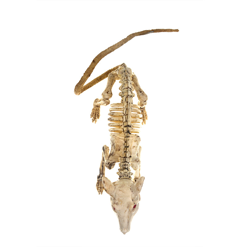 万圣节骷髅老鼠骨架仿真塑料骷髅装饰密室鬼屋吓人道具厂家直销