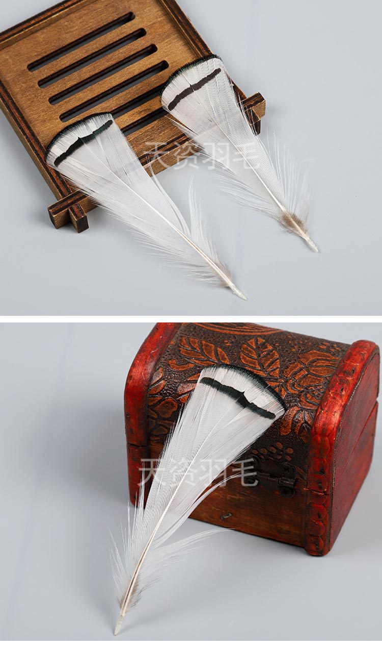 天资羽毛工艺制品