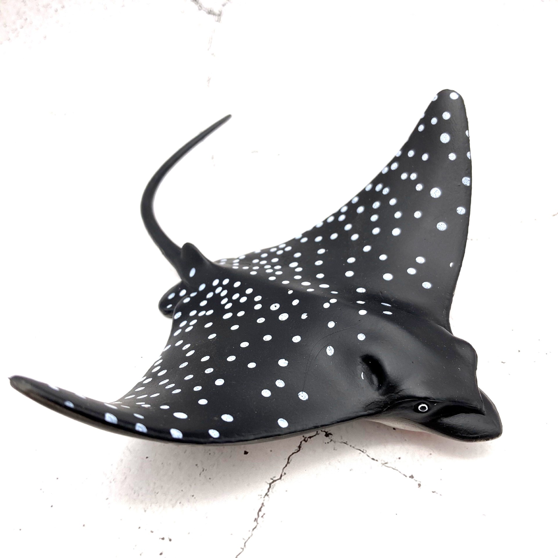 实心仿真海洋动物模型魔鬼鱼蝠鲼鱼海洋生物鳐鱼模型儿童认知玩具