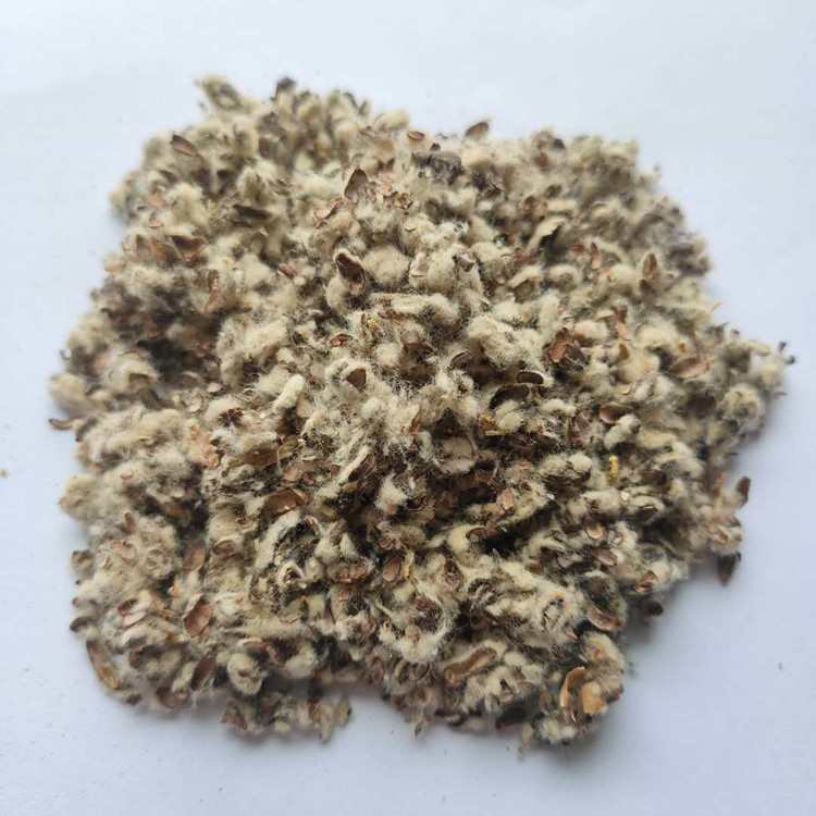 厂家供应养殖用棉籽壳 饲料用棉籽壳 长绒棉籽皮棉渣