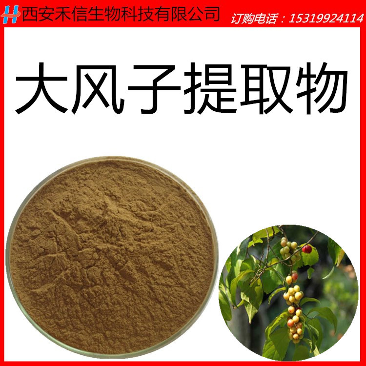 大风子提取物 大风子粉 速溶 干燥 浸膏粉 样品 批发 禾信