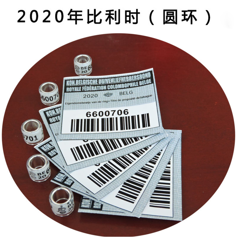 2020年外国环信鸽足环/私环/种鸽环鸽具用品/赛鸽比利时带证环