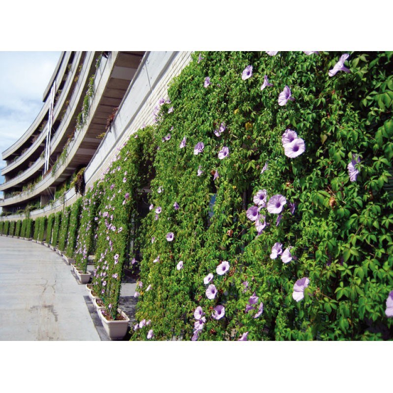 葡萄架钢管户外藤蔓植物爬藤牵引架阳台专用室外庭院月季爬藤架网