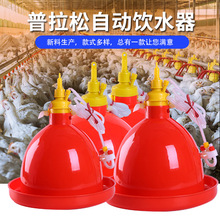 养鸡禽用自动饮水器饮水壶广式普拉松鸡鸭鹅喂水器畜禽养殖鸡喝水