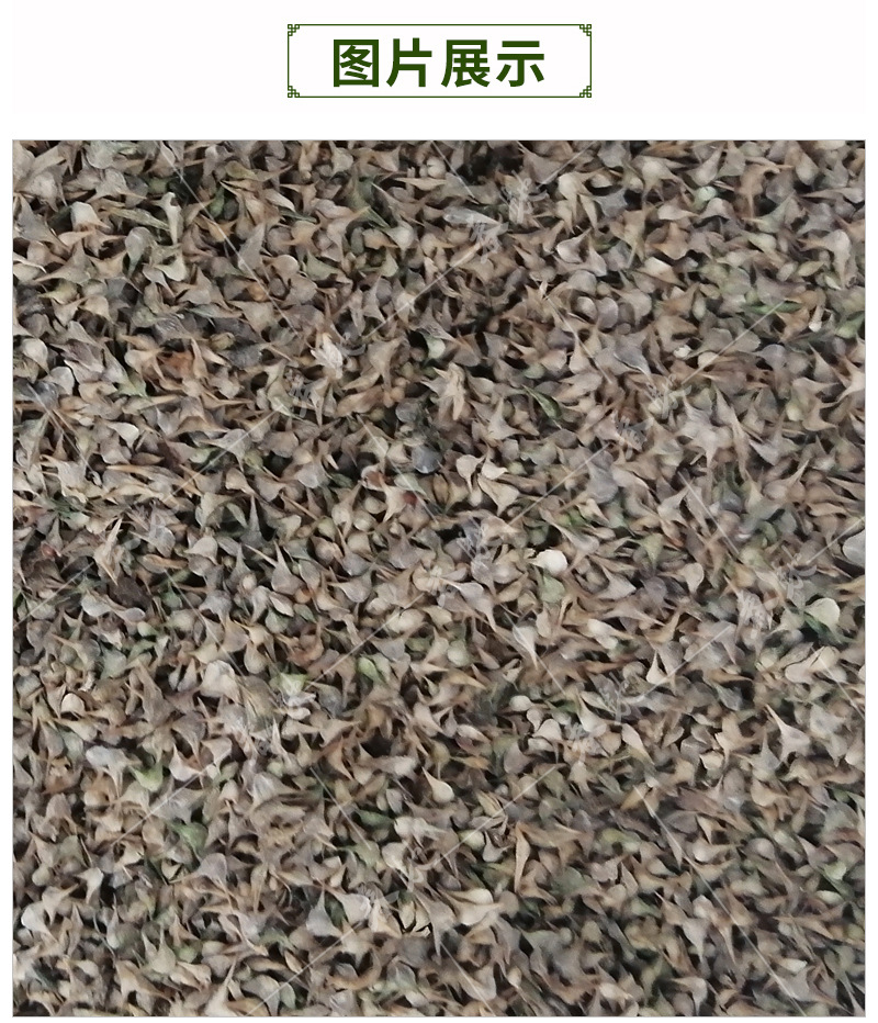 散装尖叶菠菜种子 500g 越冬菠菜种籽有刺耐寒大小叶菠菜蔬菜种子