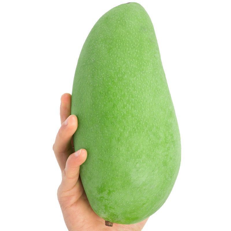 正宗越南大青芒 肉厚多汁大芒果3/5/9斤一件代发 非贵妃芒小台芒