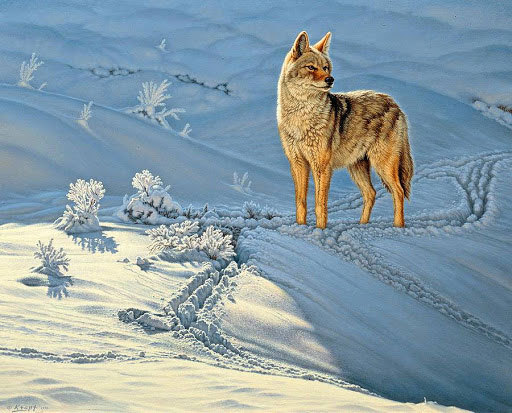 lfcx247定制款 b304未知花名 钻石画-报价-阿里巴巴