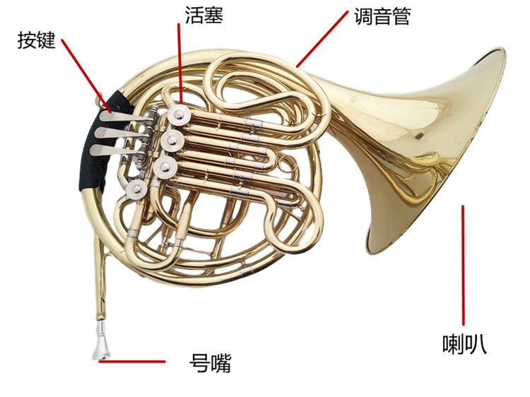 厂家销售漆金四键双排圆号乐器降f/b调学生初学成人乐队演奏
