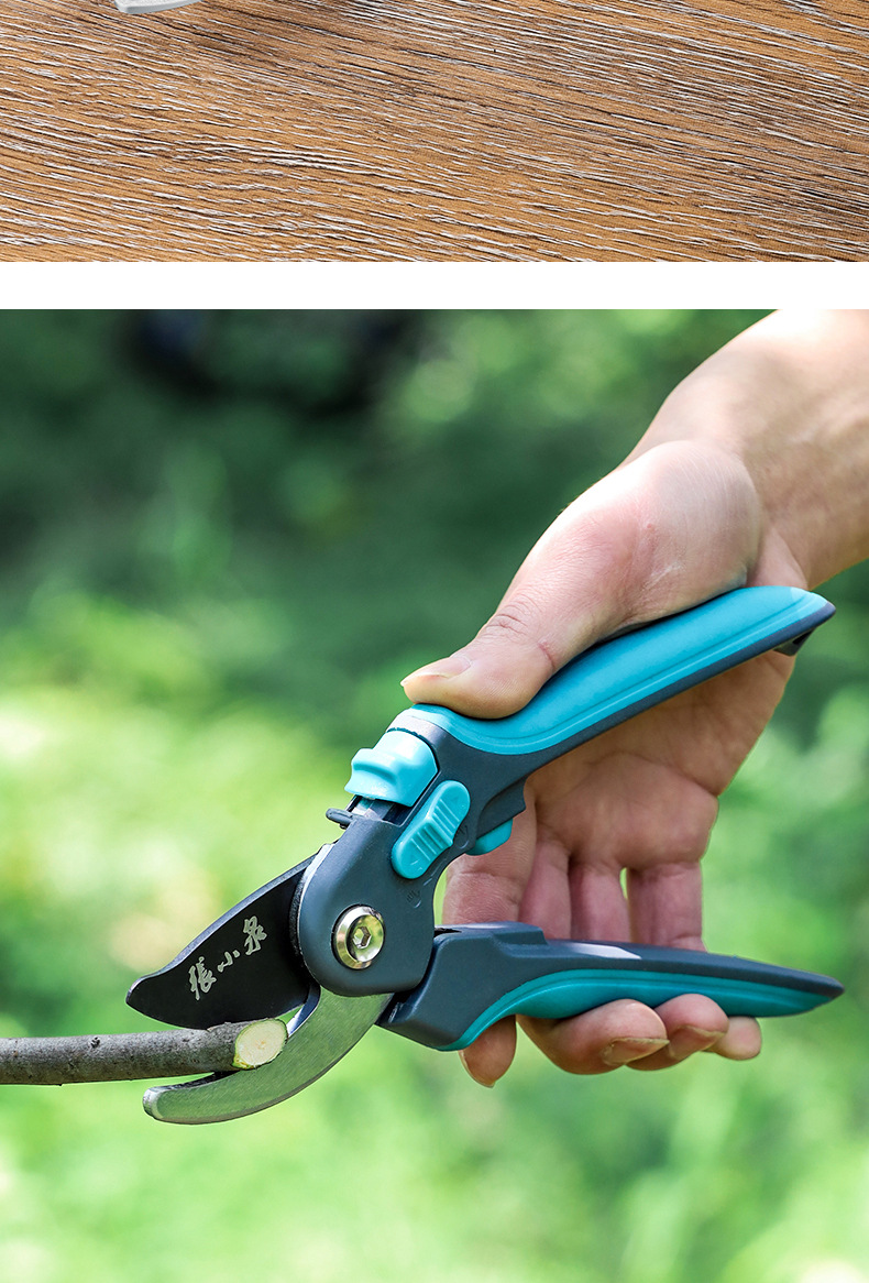 张小泉剪枝果树修枝剪刀园艺修园林省力修花枝剪家用强力剪子神器