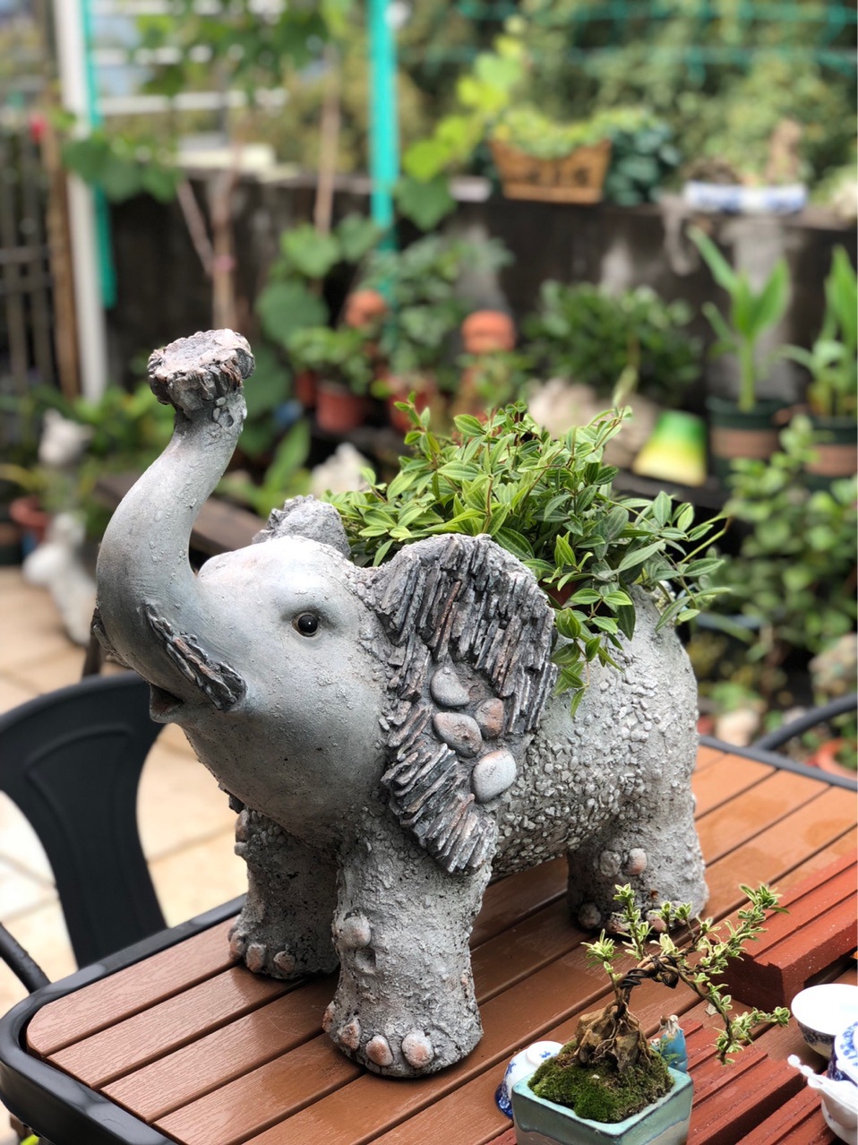 户外花园大象花盆氧化镁动物庭院摆件多肉植物盆别墅简约植物阳台