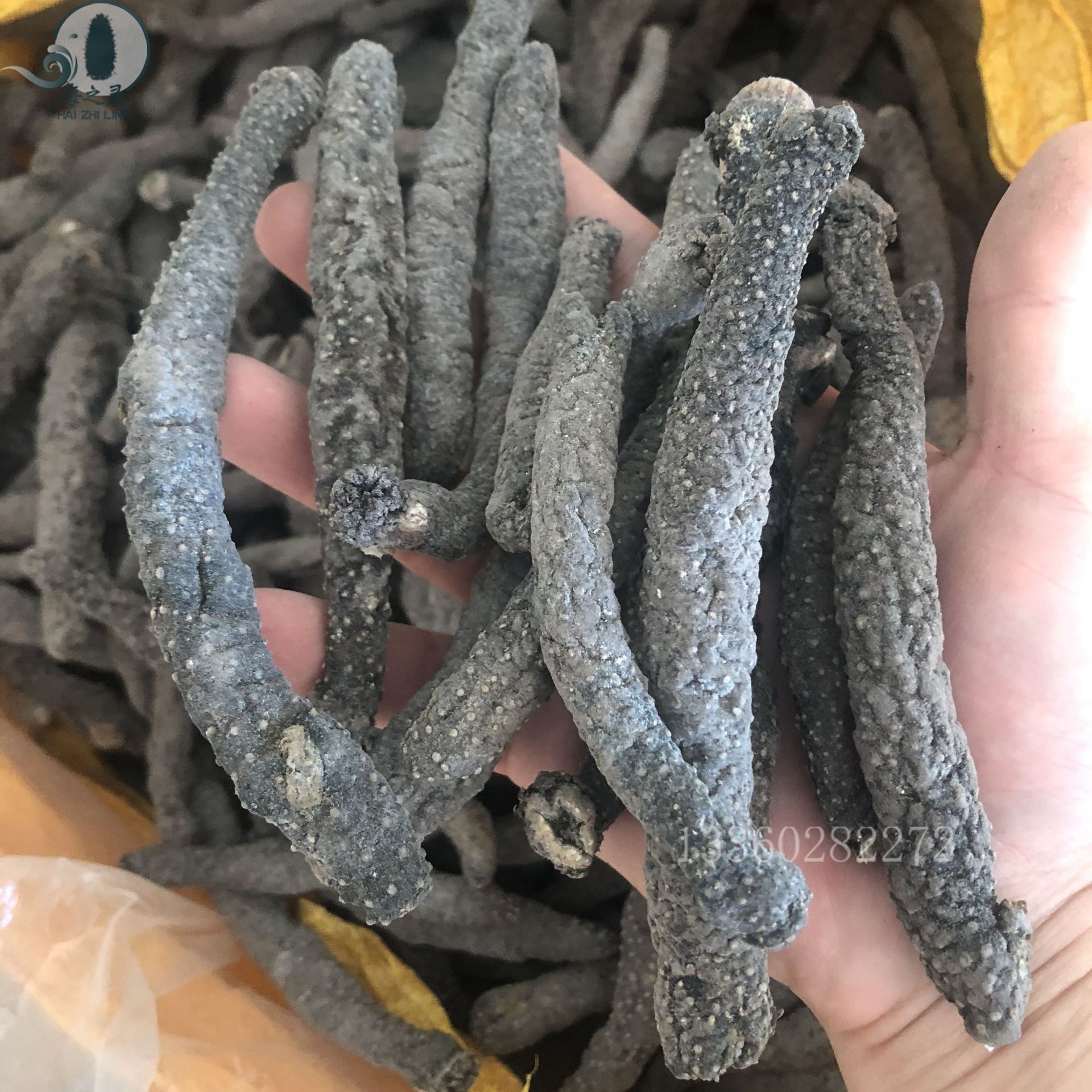 花蛇参海洋淡干带刺血蛇参黑参500克 海参干货批发酒店酒席食材