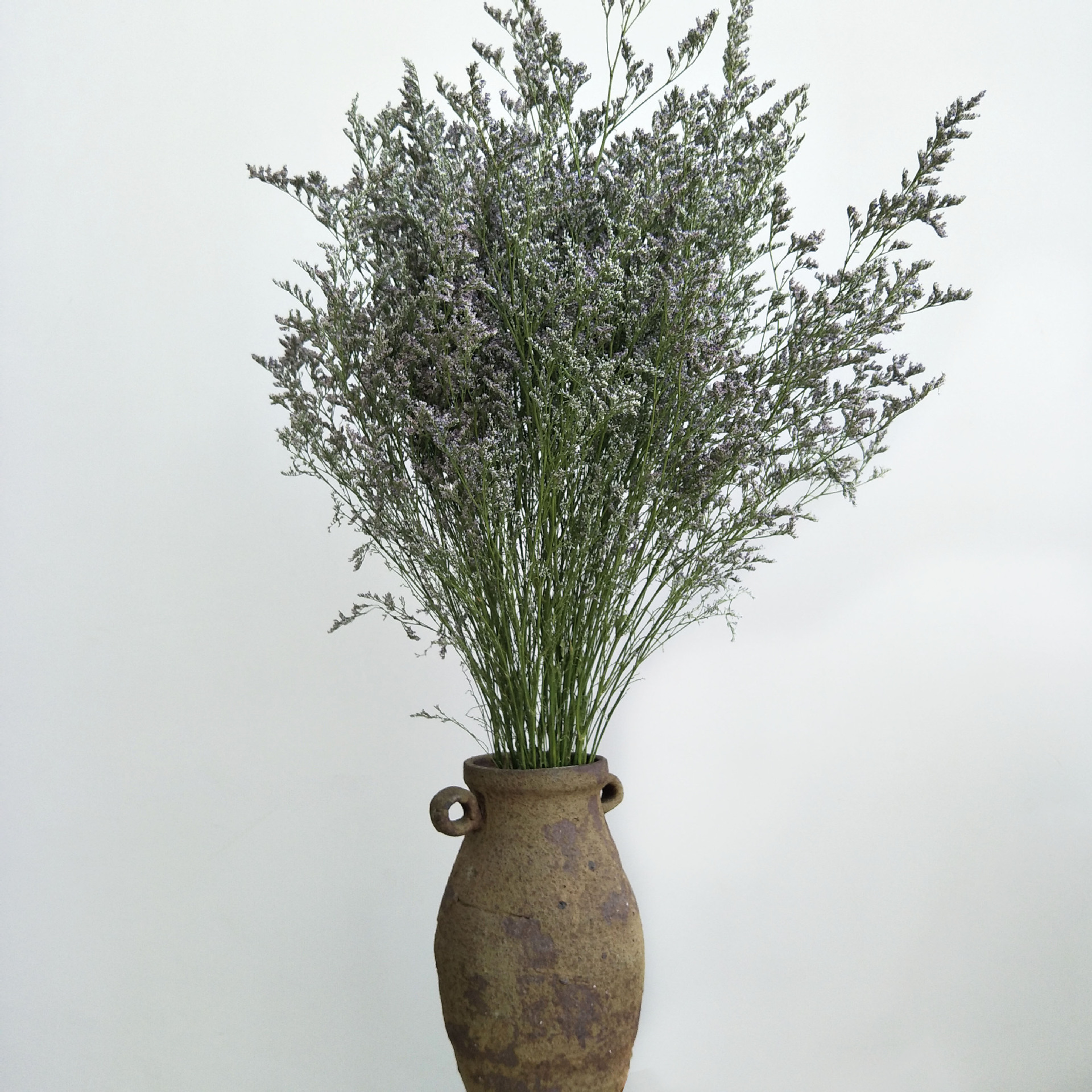 【干花情人草】森系自然 轻奢简约创意客厅摆件 软装干花材批发