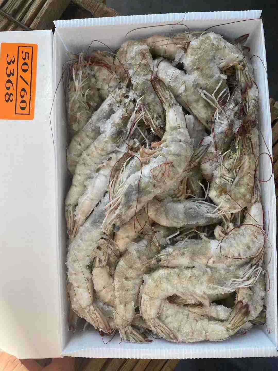 批发批发冷冻厄瓜多尔南美白对虾50-60盐冻4斤生鲜食品酒店食材