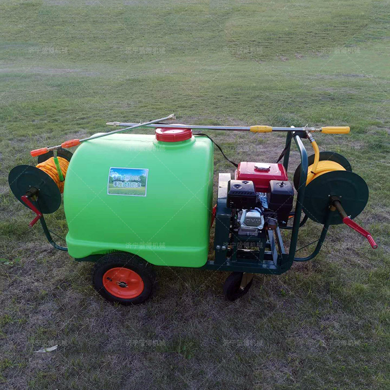 小型手推式汽油款打药机 农用高压泵喷药机 园林果树打药设备图片