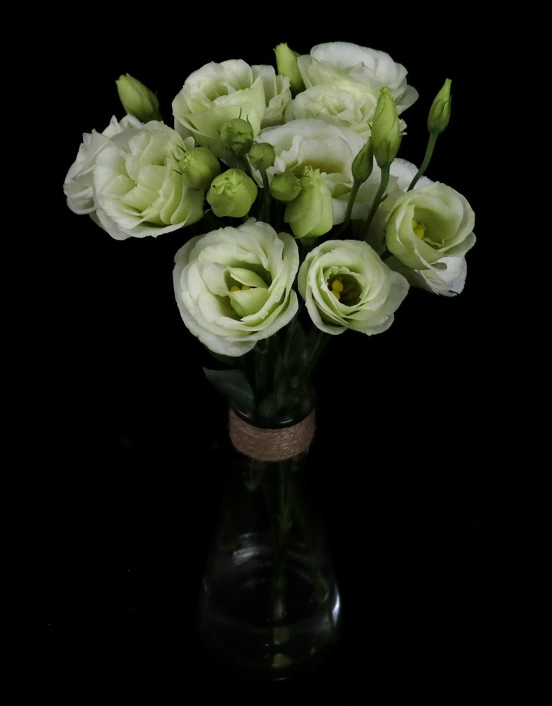 【洋桔梗】花期长耐养耐看 云南昆明鲜切花基地直发批发龙胆花