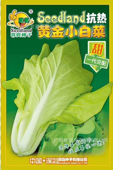 喜良蔬菜种子黄金小白菜(672)基地田园露地阳台盆栽500克
