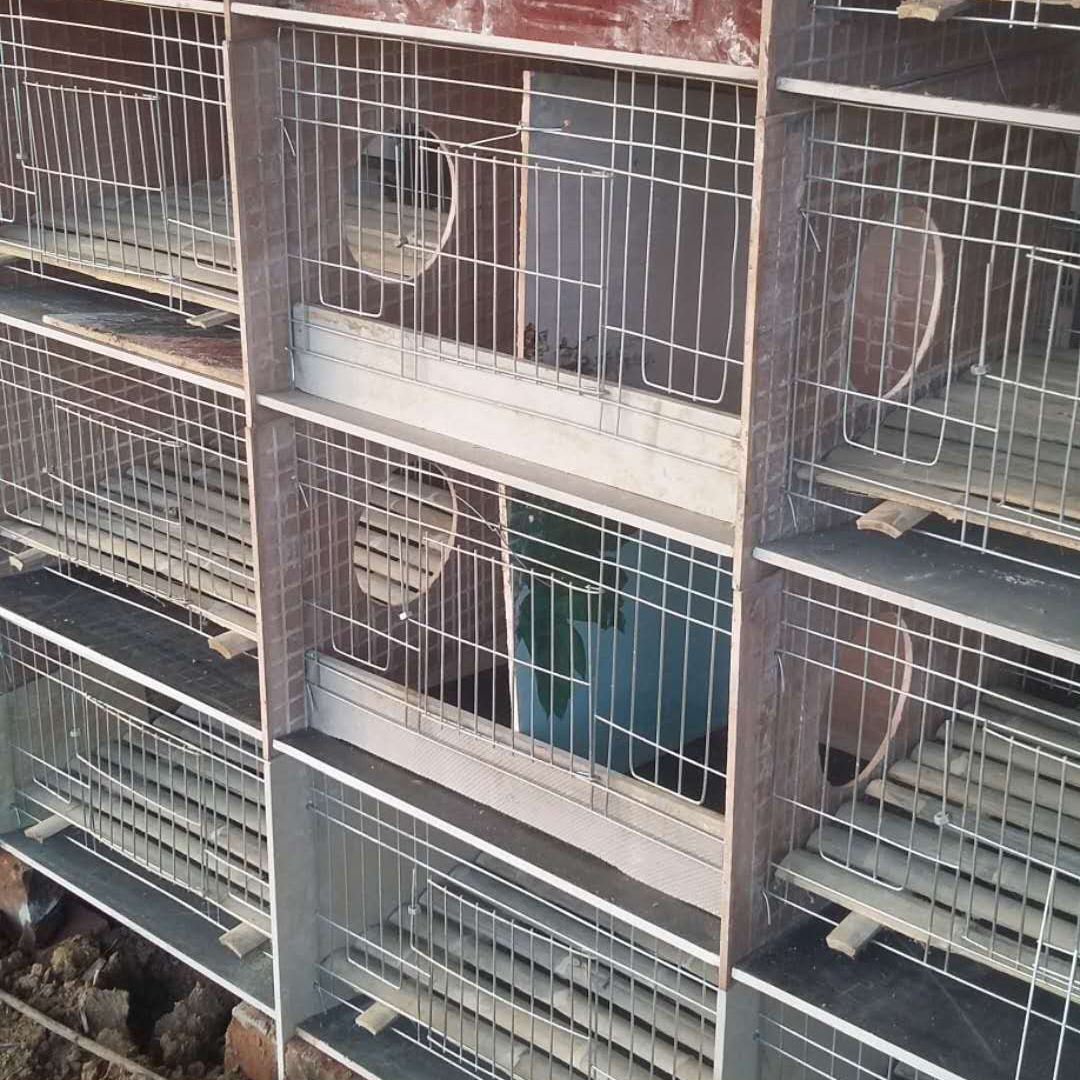 量大 易于清理瓷砖兔笼子母笼 养殖场用瓷砖兔笼子母笼