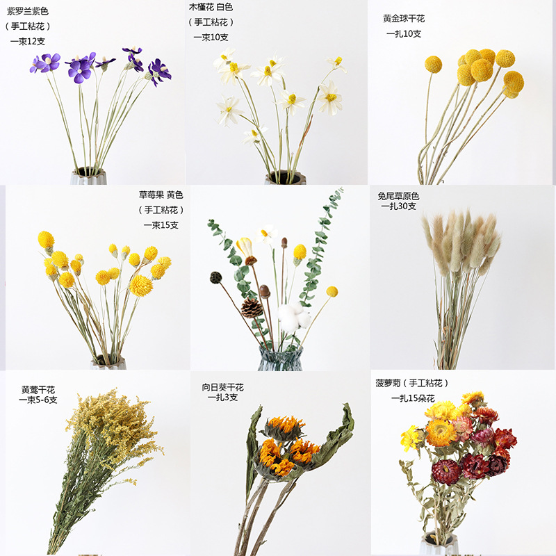 dried flowers bouquet diy material decoration preserved fresh flower starry cotton living room furnishings plant real flower and dried flower wholesale