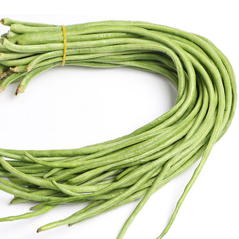 特长豇豆角种绿白条长豆角子种籽高产抗病春夏秋播蔬菜种豇豆种子
