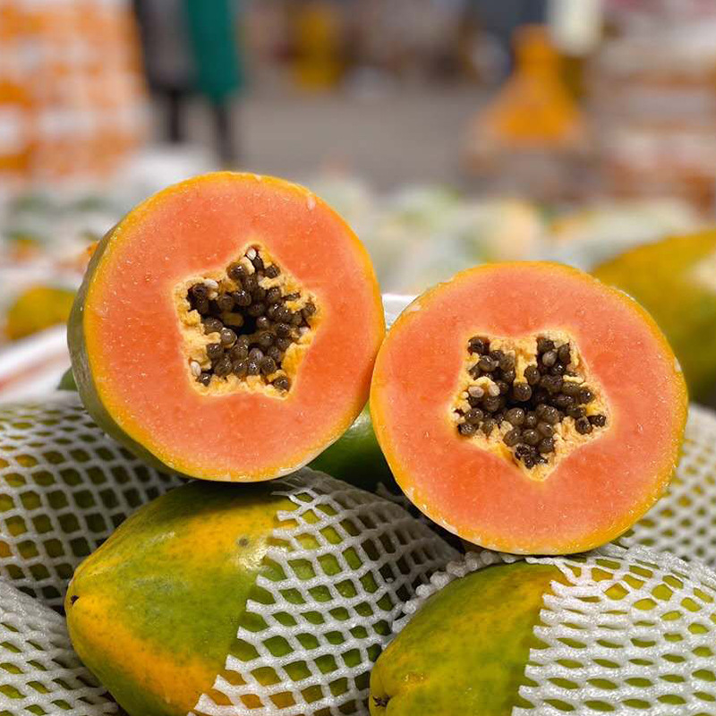 【顺丰快递】树上熟雷州冰糖红心木瓜牛奶木瓜当季新鲜水果5斤装