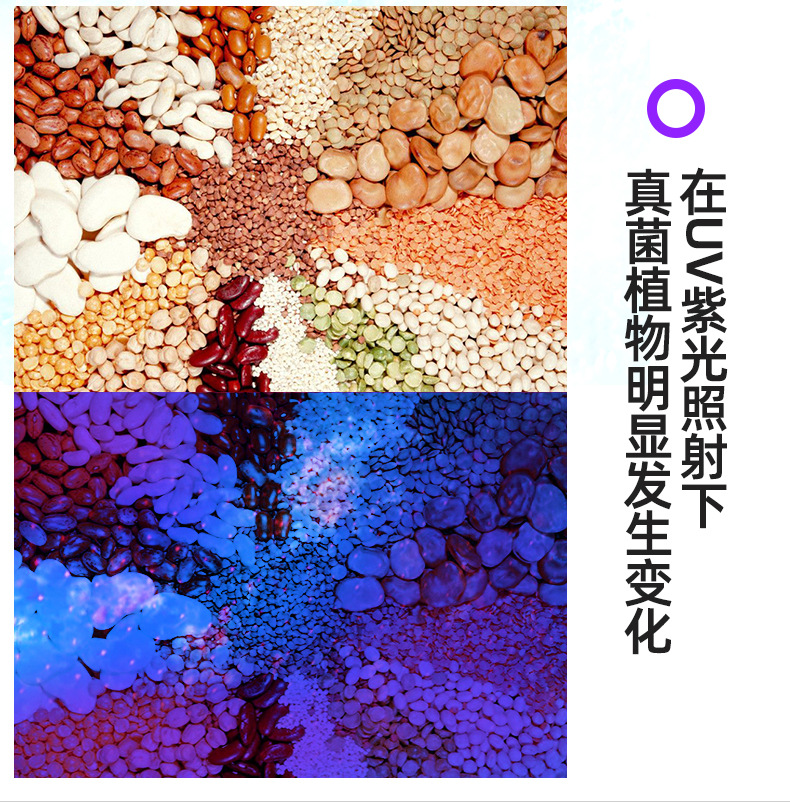 黄曲霉素霉菌检测笔 紫外线紫光灯手电筒365nm 荧光剂鉴定验钞灯