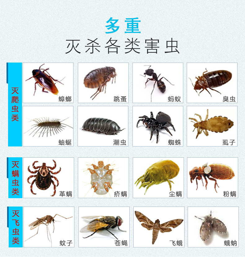 呋虫胺浓缩杀虫剂灭蚂蚁除蟑螂药杀跳蚤室内潮虫卫生间飞虫驱虫剂
