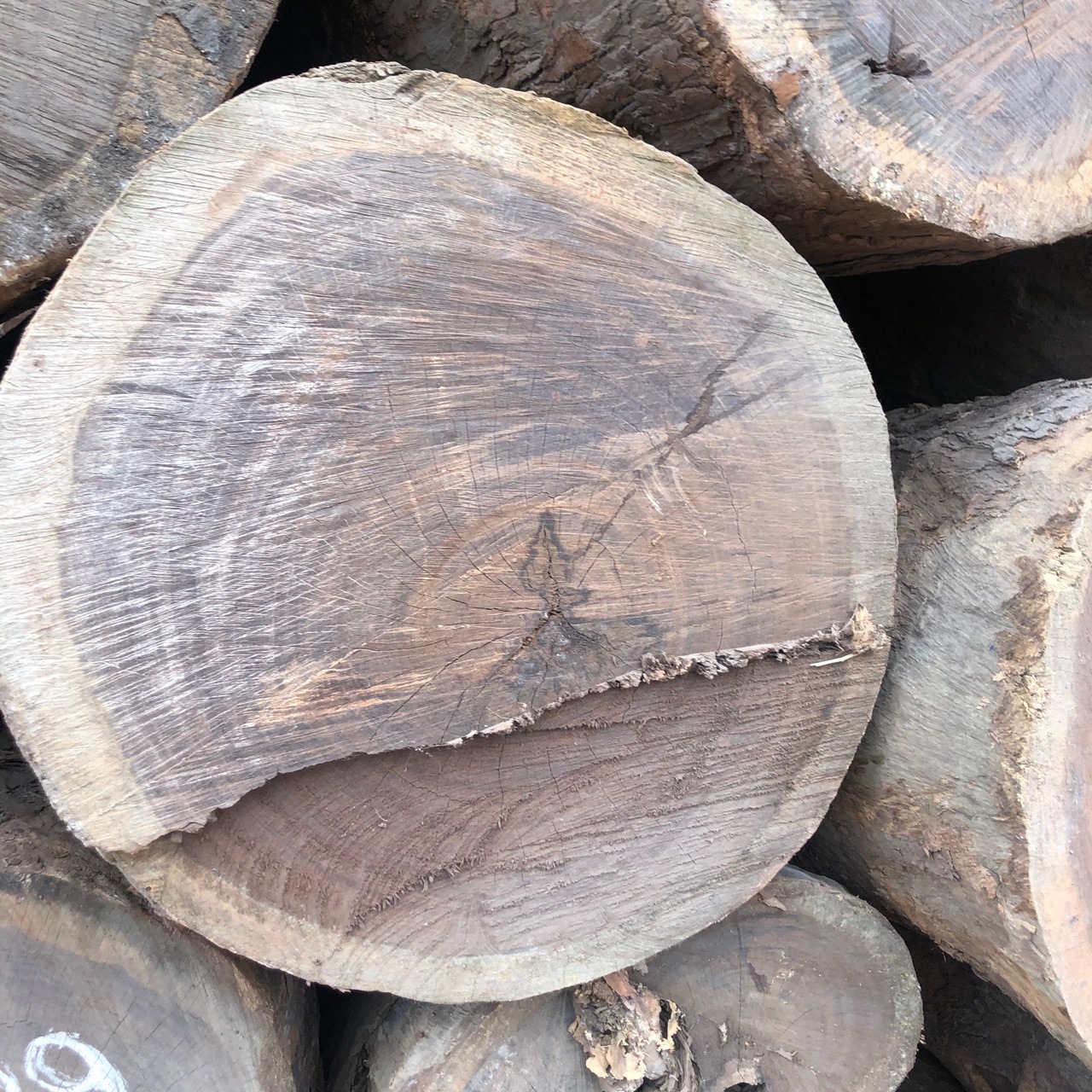 供应皮灰原木板材 皮灰木料 黑檀茶盘工艺品雕刻风车木料