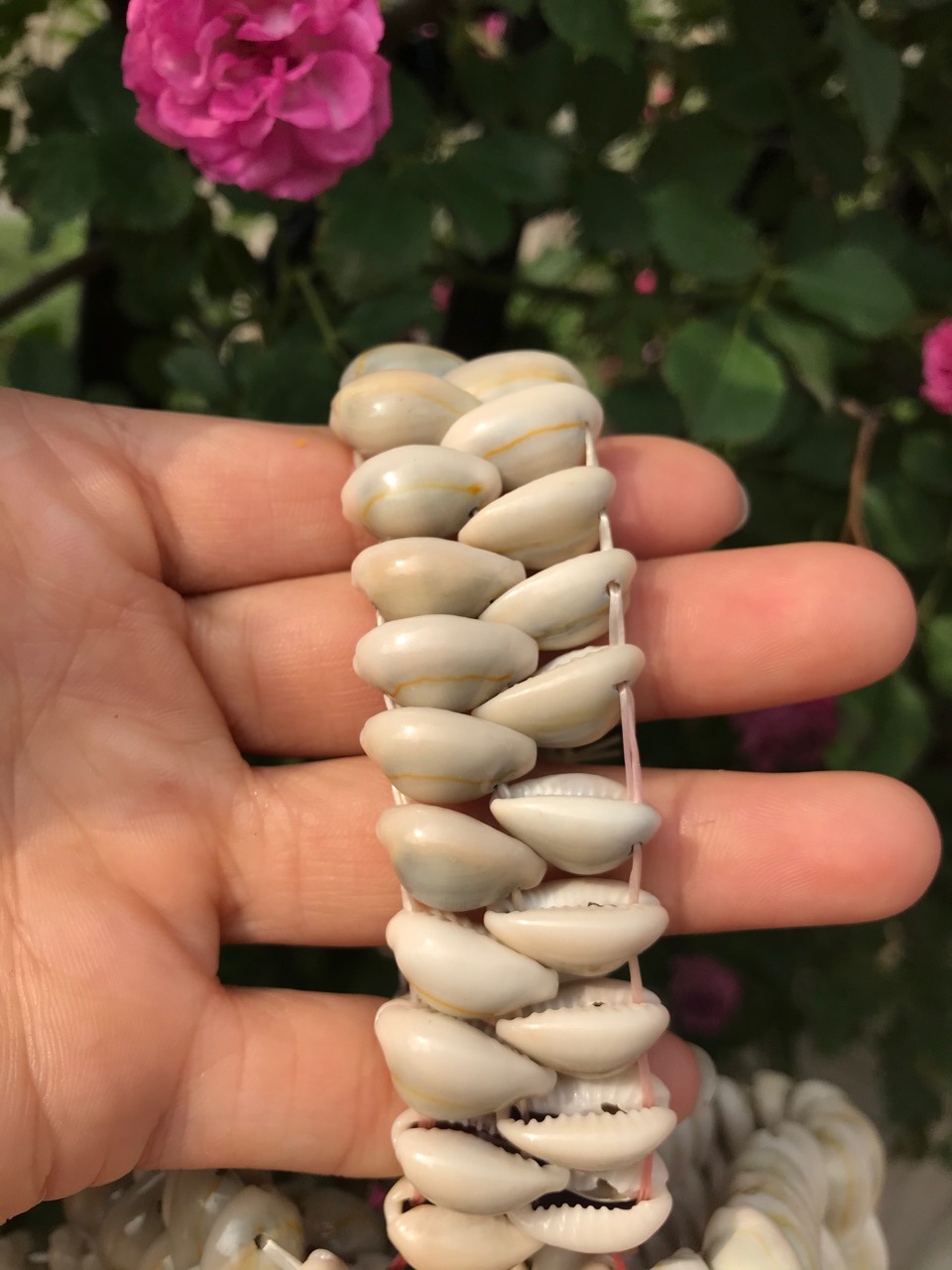 三线宝贝螺贝壳手链 天然贝壳海螺手串 地摊货源 贝壳工艺品批发