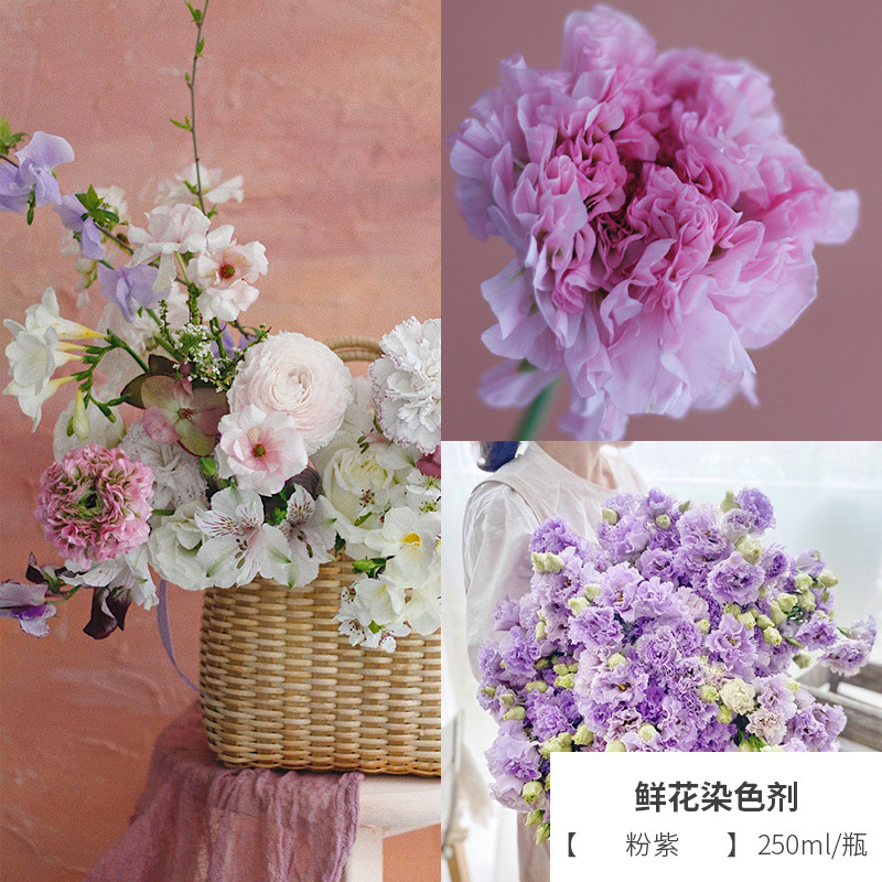 Flowers Stain Rose Starry Macaron Absorbent Dyed Flowers Flower Coloring Dyeing Culture Solution Material Dye