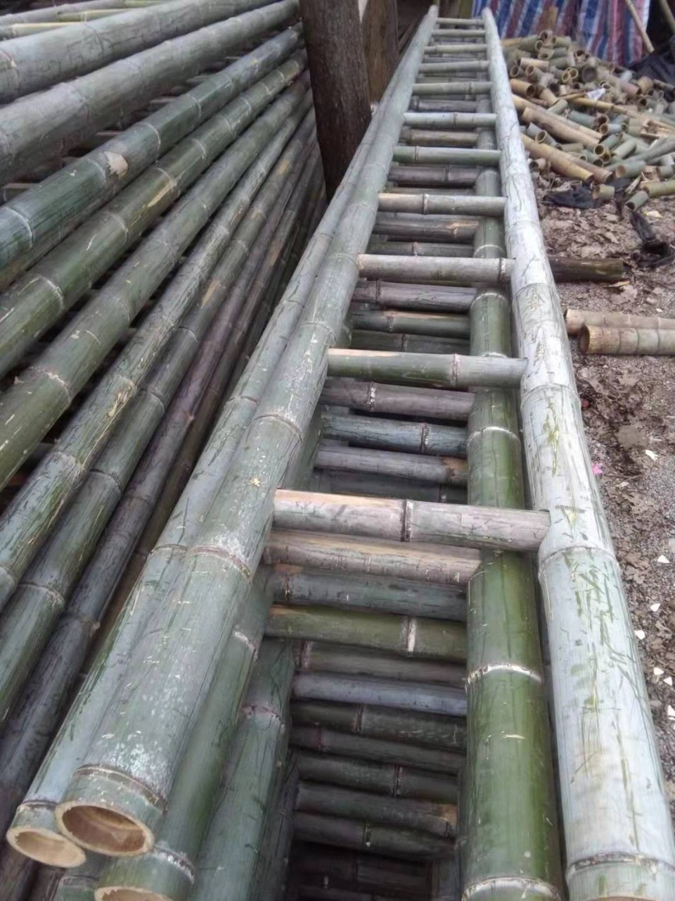 竹梯子竹云梯建筑工程竹梯电工用消防用通信用竹梯 3到8米 可订制