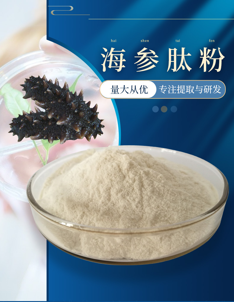 海参肽98% 海参低聚肽 海参肽粉 100g/袋 ≤500da 小分子蛋白肽