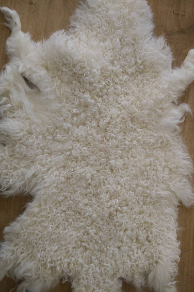 2021整张羊皮皮毛一体皮料羊羔毛原料张子皮褥子毯子服装配饰保暖