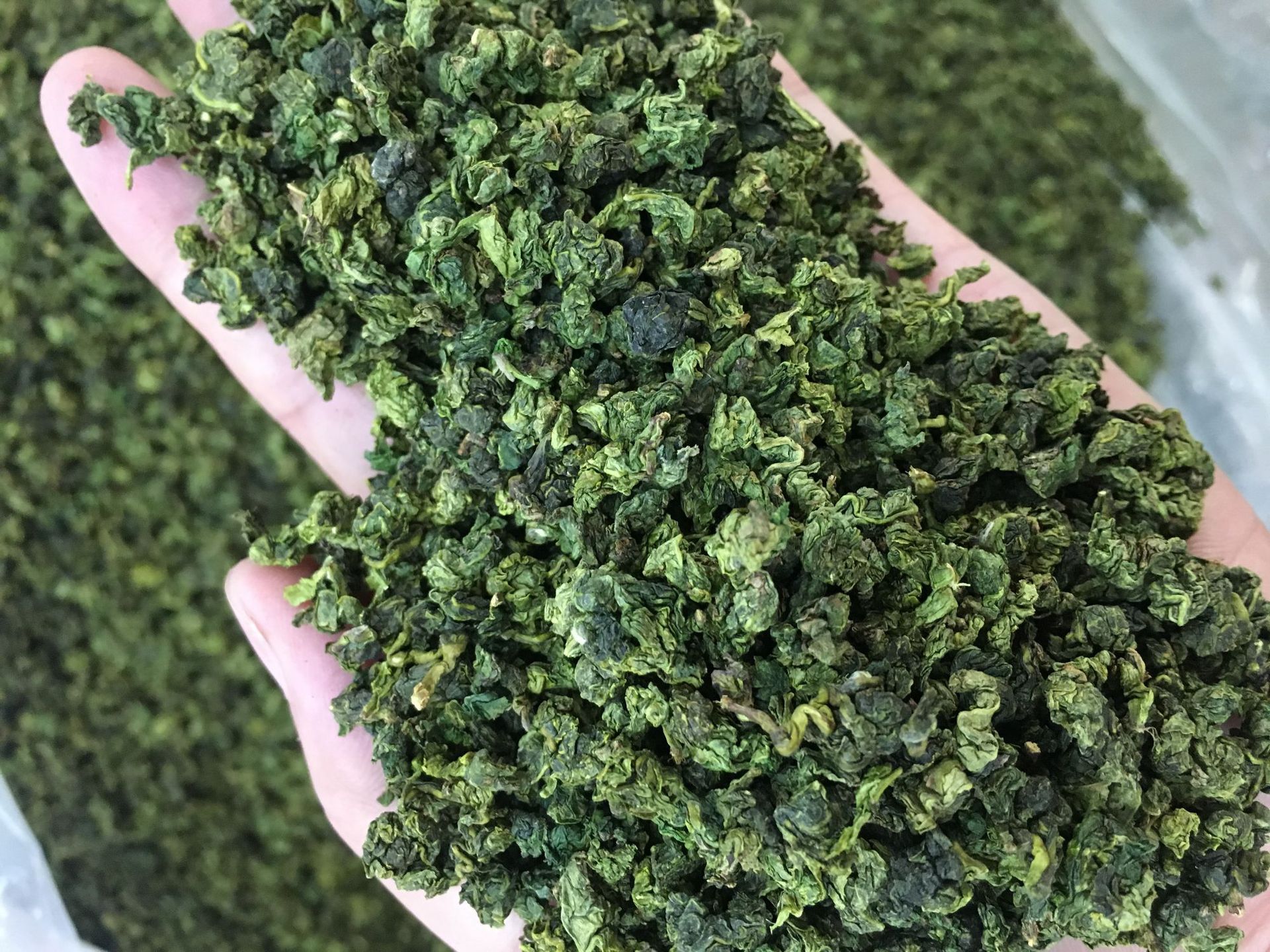 安溪茶叶代表茶-正味感德红心铁观音 230元/斤起 新品 散装500g