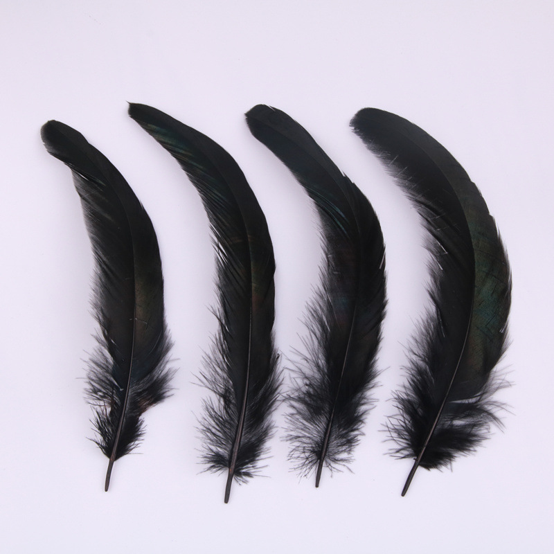 公鸡毛8-10cm黑鸡尾服饰配件家居装饰羽毛diy羽毛批发