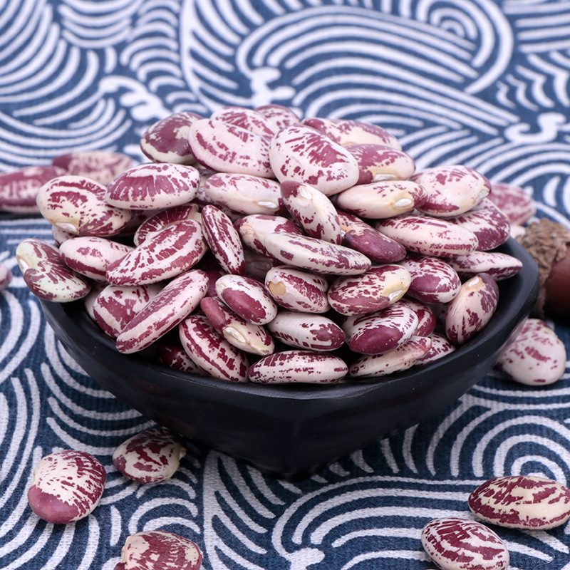 荷包豆五谷杂粮肾花豆 大颗粒肾豆菜豆花豆 煲汤原料农家荷包豆