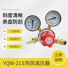 上海减压器 YQW-213 0.25*4MPa 天川牌 丙烷减压器 丙烷表 减压阀