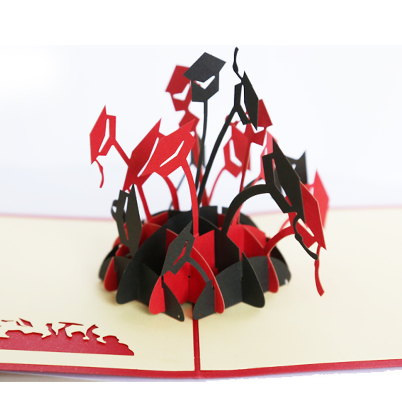 创意毕业季博士帽3d立体商务贺卡 儿童节同学祝福卡奖励卡