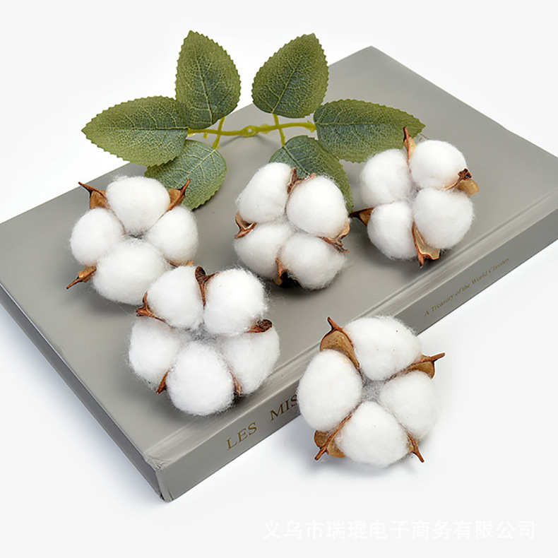 天然干花棉花头 diy手工艺品 单头木棉花头 居家装饰摄影道具
