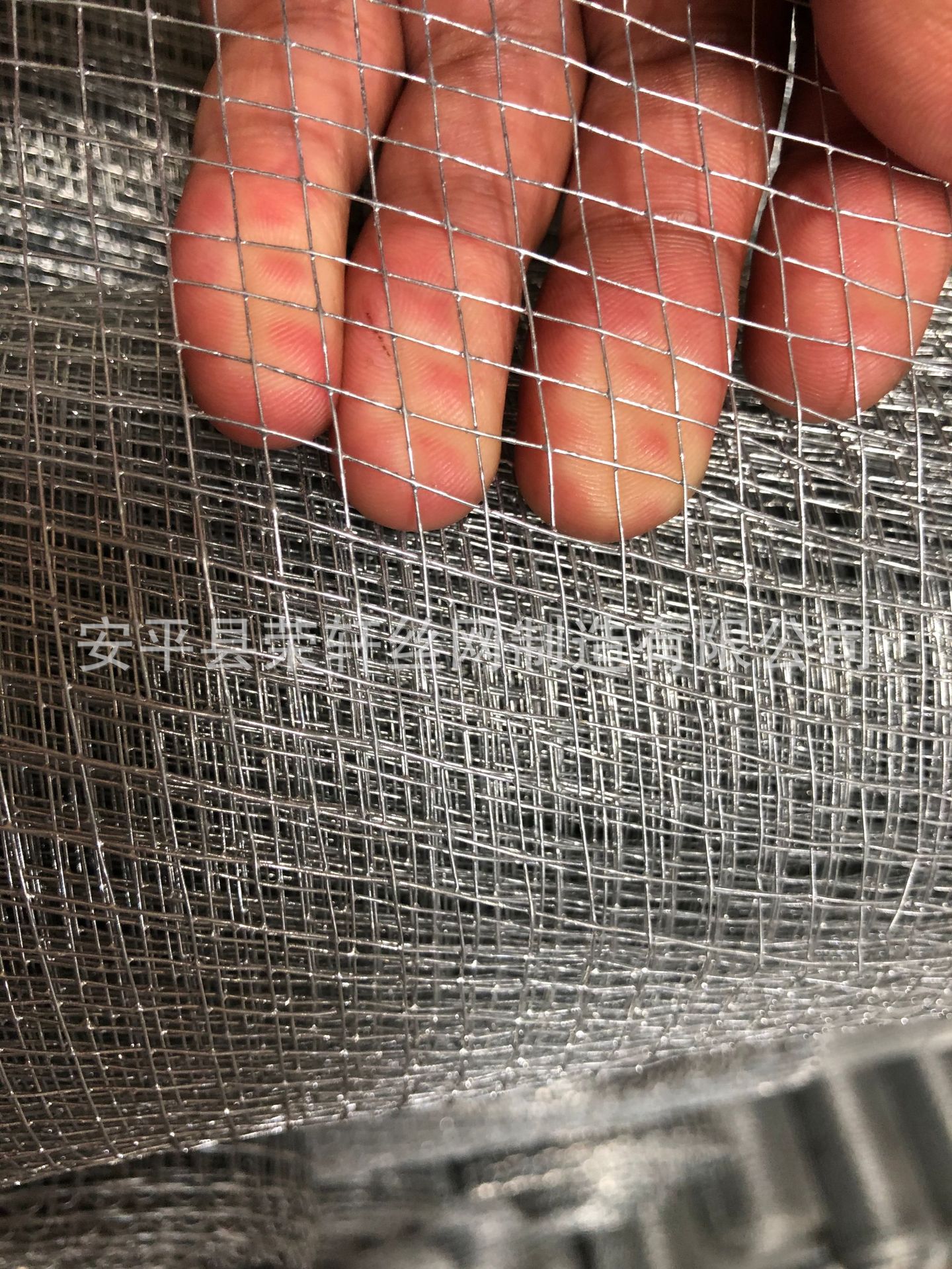 苏丹专用方眼网8mesh14mesh18mesh镀白锌价格优惠苏丹一致好评