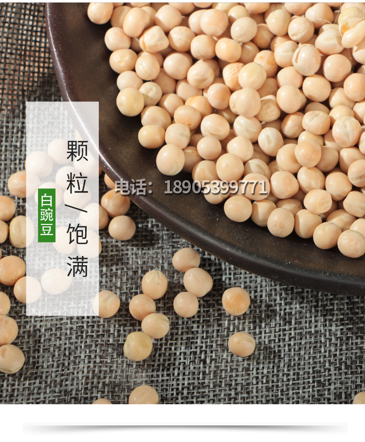 批发21年加拿大白豌豆芽苗菜种子鸽粮淀粉酒曲炒货油炸水培豌豆苗