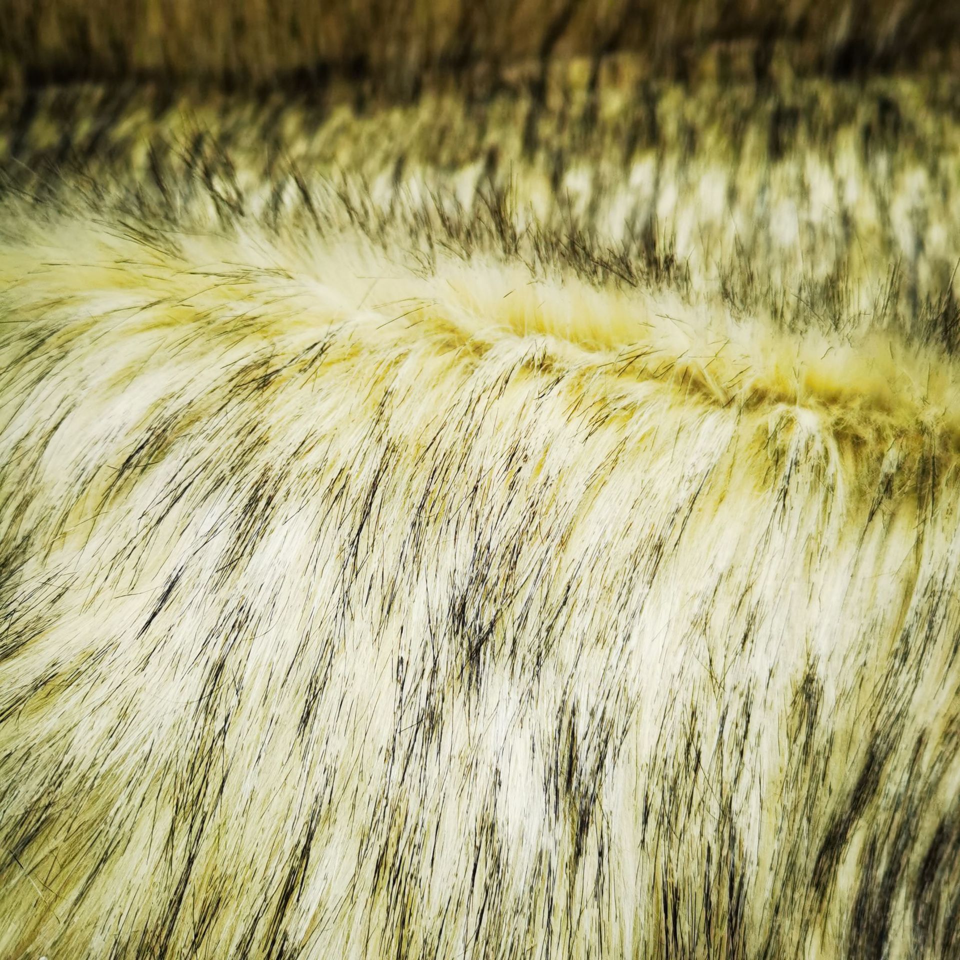 工艺品用长毛绒 家纺地毯毛绒面料 玩具面料现货供应