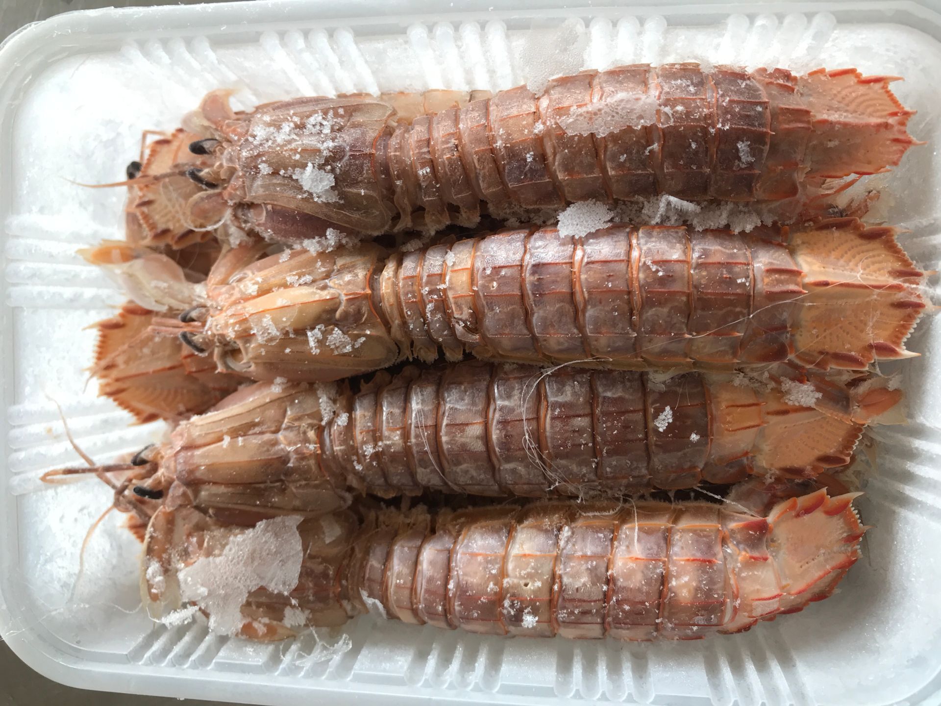 连云港虾姑批发鲜活熟冻超大皮皮虾 虾姑 富贵虾 烧烤酒店食材