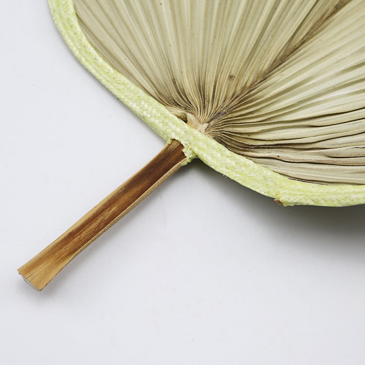 供应扇子大蒲扇济公芭蕉葵扇老式蒲草手工扇绘画扇粽叶烧烤扇现货